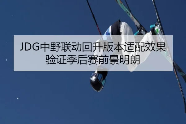 JDG中野联动回升版本适配效果验证季后赛前景明朗